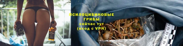 гашиш Покачи