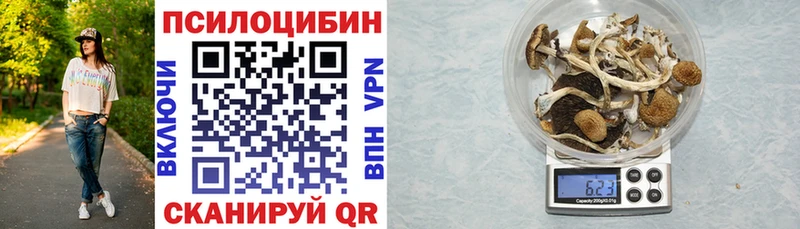 Псилоцибиновые грибы мухоморы  Кирово-Чепецк 