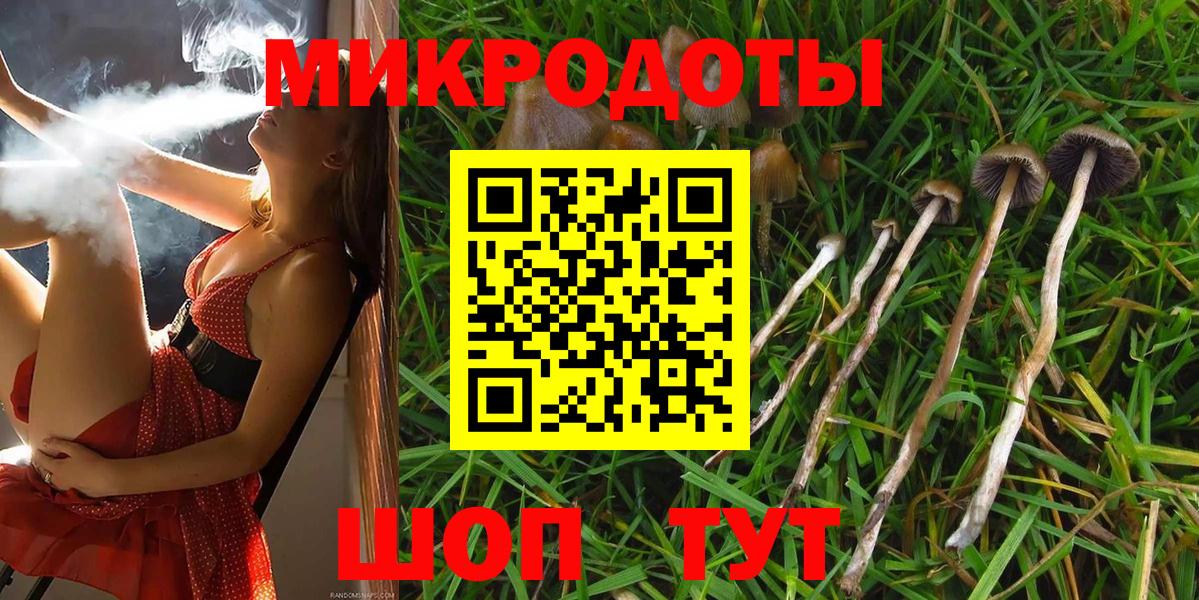 Псилоцибиновые грибы мицелий  Вход с VPN  Псилоцибиновые грибы ЛСД  магазин продажи наркотиков  Кирово-Чепецк 